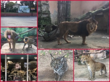 077 Arrived "Jerez zoo"